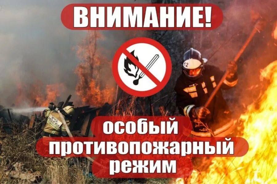 ������� �� ���!. ����� ���������������� ��������� ������� ����������, ��� �� ���������� �������� �������� ���������� �� 01.10.2025 ���� ��������� ������ ��������������� �����, ������� ��������������� � ����� �����������...