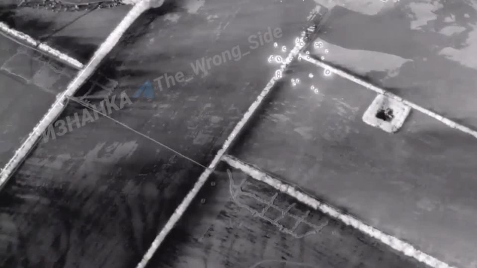 ��������� �������: ���� �������� ����� ���� �� ������ �������������� ������ ����������� ������ 95 ��������� ����������������� ������� ��� ����� �.�. ���������