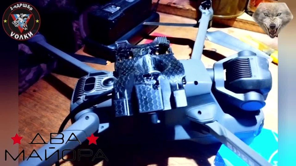 Два майора: Славянское направление. Разведывательно штурмовая бригада «Волки»