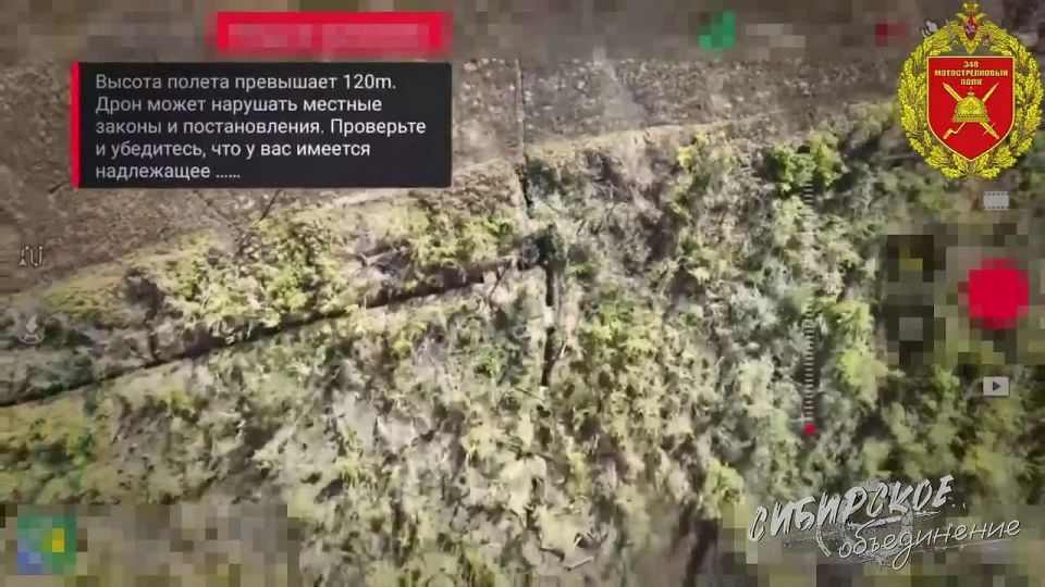 ���� ������ �����. ����� ������������ �������� �� ������� ���� ������� ������������ ���������� ����������� ������������� ��������� ����� ���� ���������� �� ������ � ����������� ���� ������ �������������� �����-��� ...