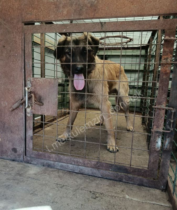 ������� ��������: ������ ���� ��������� ����������� ��������� � ������ ������� �� �����, ����� ��������� ���� ������ ��������� ��������