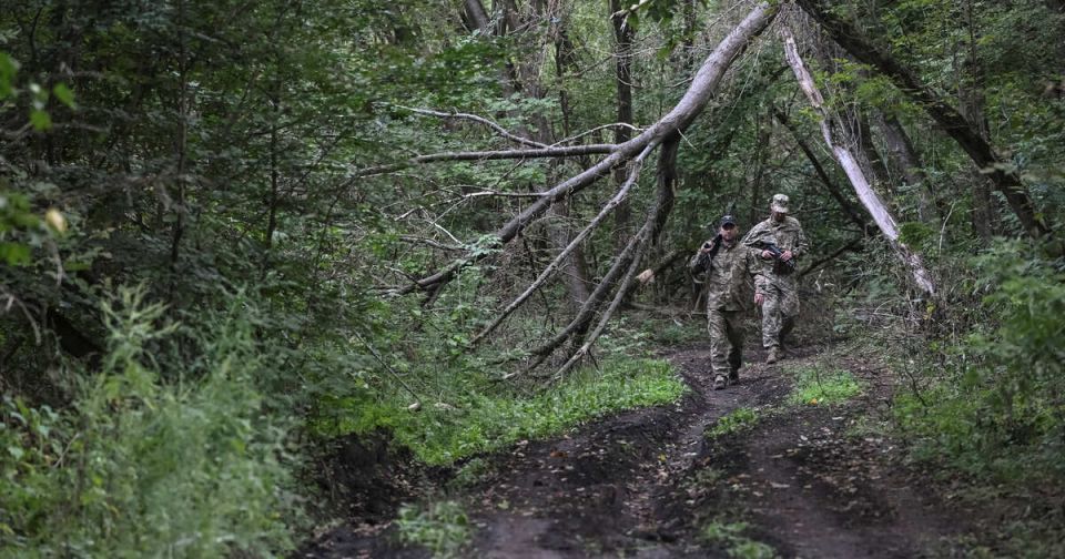 ������� ������� ��� ������� ������ �� ������������� �����������