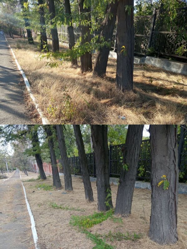 Николай Михайлов: Администрацией округа продолжаются работы по покосу сорных трав