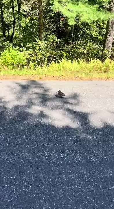 ������ �� ������ � ������� � ��������