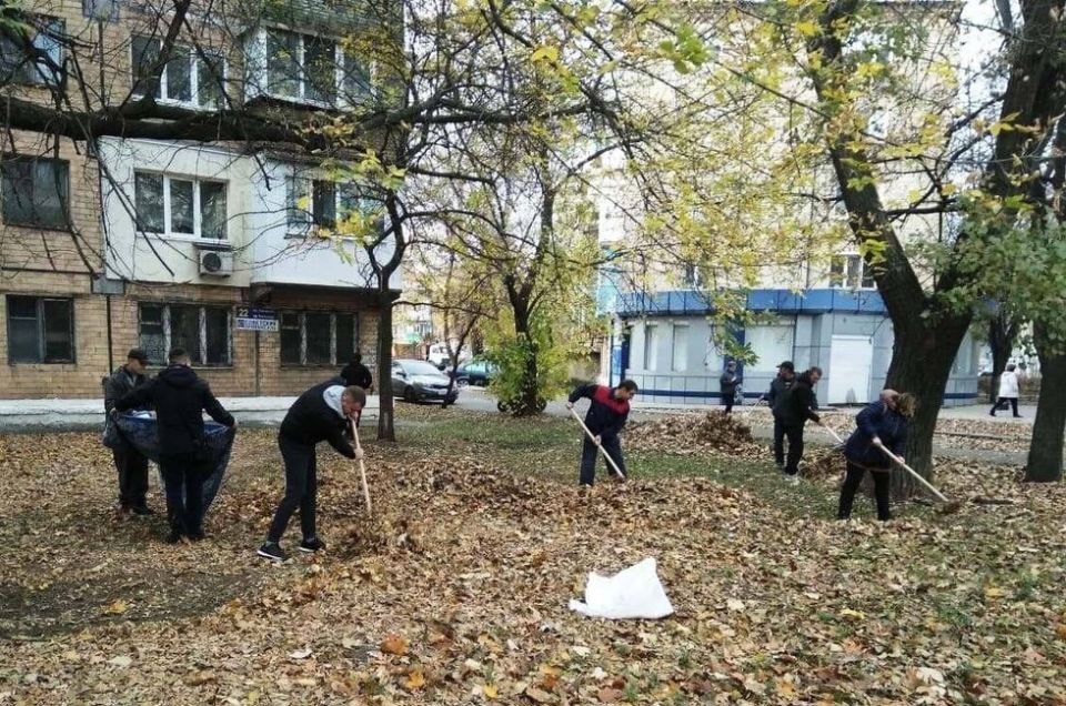 ����� 5 ���. ������ ����� �� ������� ���������. ���������� ��������