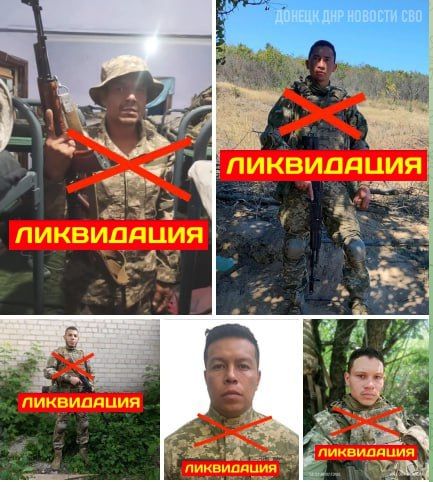 В зоне СВО ликвидированы или "пропали без вести" более 3000 иностранных наёмников