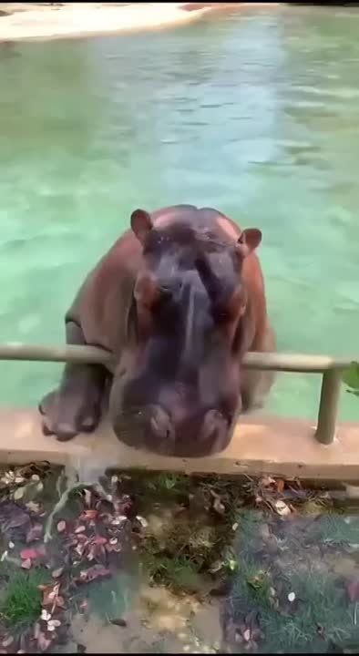� ������ �����, ���������!