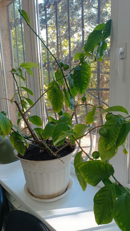 ������� ������: �� � ���� ���� �� � �������! 14 ������� ��������� � ����� ����� ����������� �����������