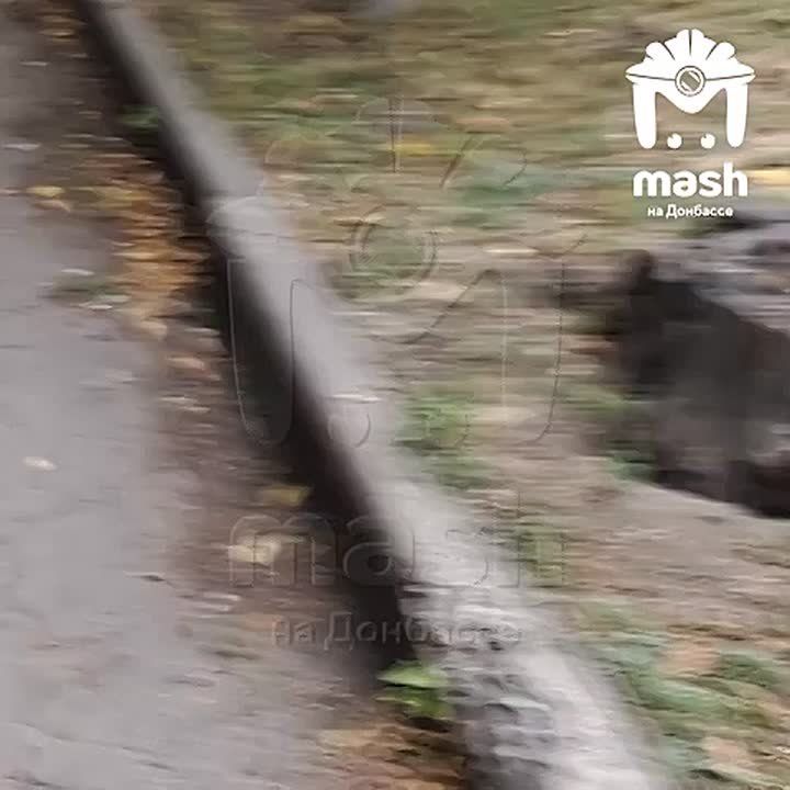 ������ � �������� ������� �������� ������� ��� � ��������