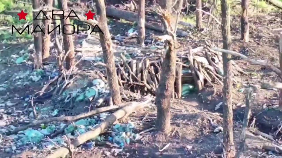 Два майора: Славянское направление. Разведывательно штурмовая бригада «Волки»