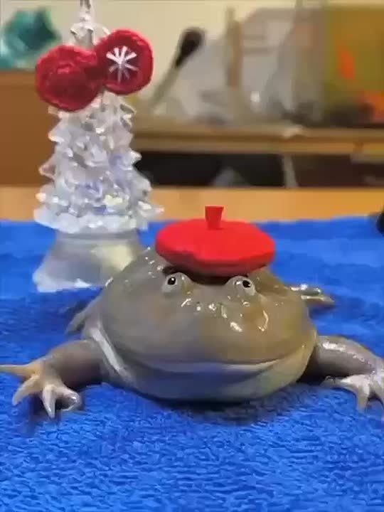 ���� � ���� ���������� �� ������, ��� �� ������, ��� � ������� ��� ��������