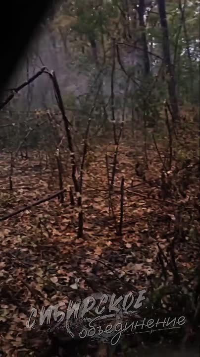 Штурм укреплений противника в лесных массивах района Муравки бойцами бригады «Неудержимые» 41-й армии