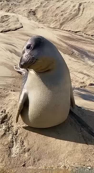 � ������ �����, ���������!