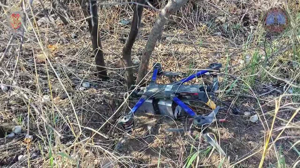 Глава ДНР Денис Пушилин рассказал о работе системы РЭБ «Купол Донбасса»