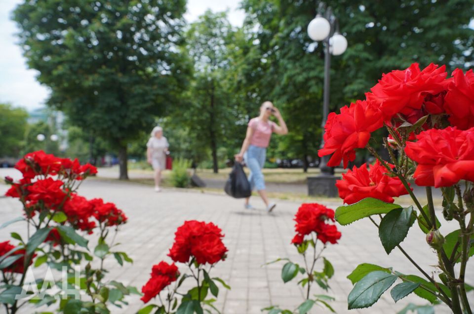 В Володарском округе начали строительство нового парка