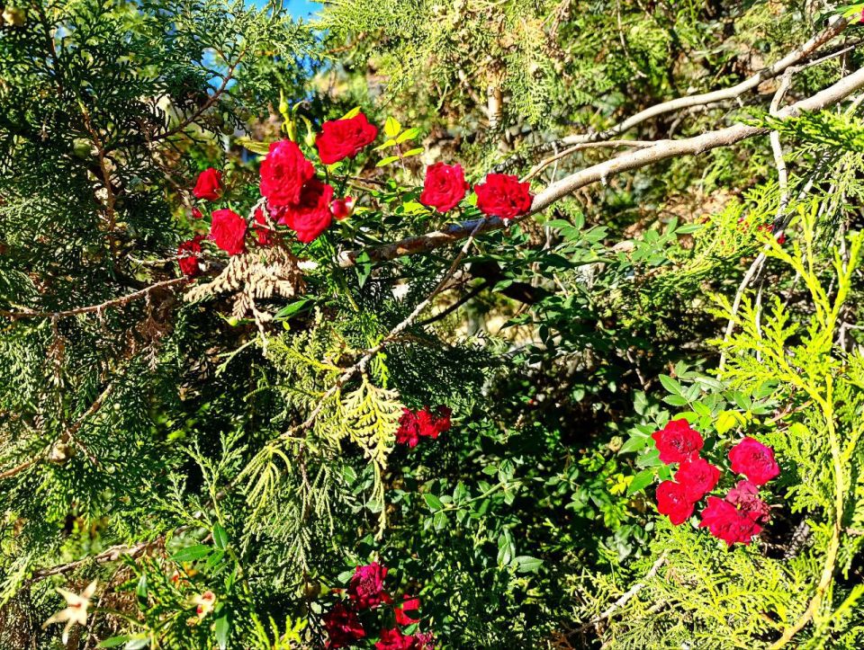 Доброе утро, Амвросиевский муниципальный округ!