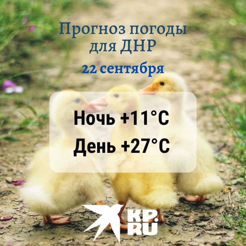 � ��� � ����������� ������ ����� �����, ��� ������� ������� � �������