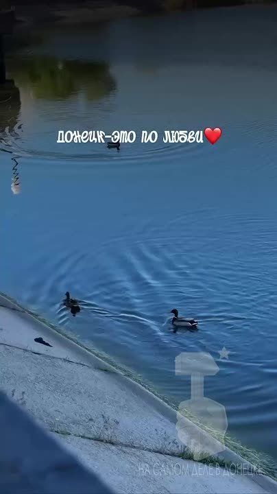 Мирных снов, любимый город!