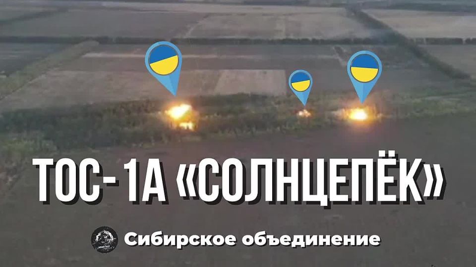 ����� ���������� ������� ������� ���������� � ����������� ��������������� ����������� � ������ ����������� ����� �� ���������� �����������