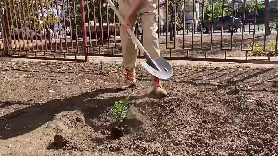 � �������������� ����� �1 ������ ����� "������� ������"