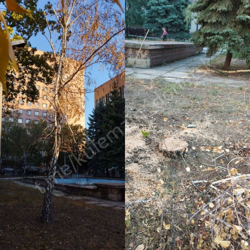 ������� ��������: ���������� ������������� ����������� ������� ������������� ���������� ��������� � ������� ����� ������ ������