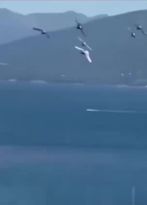 � ���� ��������� ������ ����������� ����������� ����, ������� ������� ��������� ������� � ������ �������������