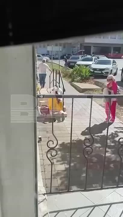 ���������� ������� ������� �� ������ ������������� � ��� �������� �������, ���� ����������, ������� ���������� �������������� ����