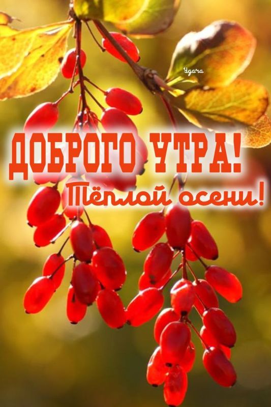 #Доброе_утро