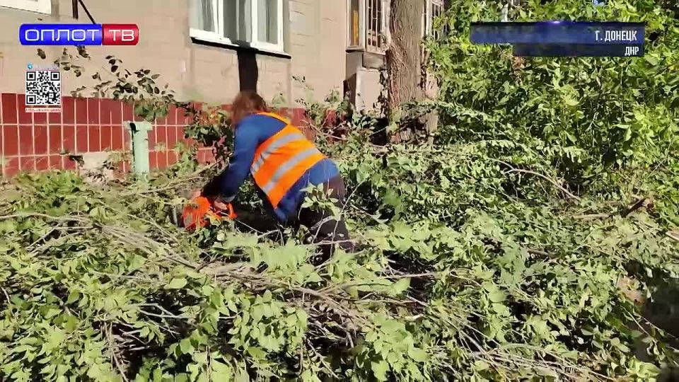 ������ ������ � ���������: ����� �������� ������� ������� � ���������� ������� ����