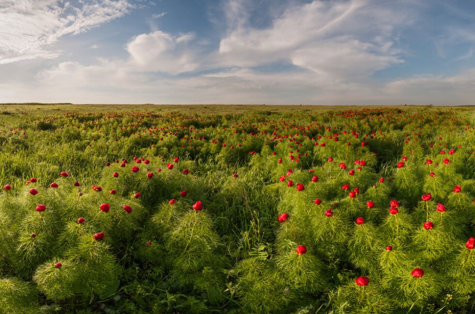 Создание заповедников, сохранение леса: Минприроды рассказало о работе за 3 года