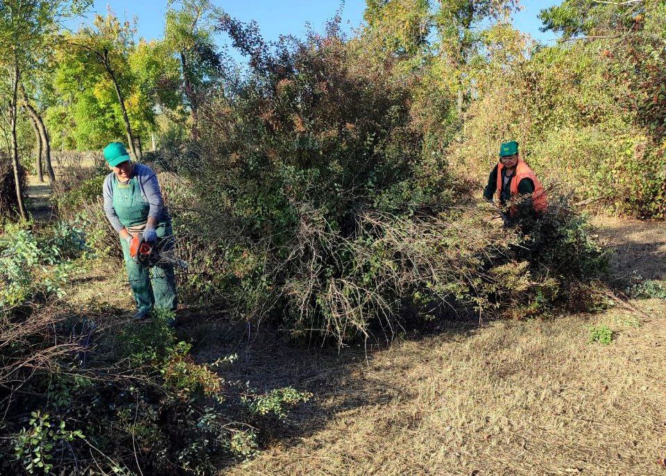 ���� ������: � ������������ ������ ���������� ����������� ����������� ��������� ���� ���������� ����������� �� ��������������� ����������, �������� ���������� � ��������� ����� ��� �������