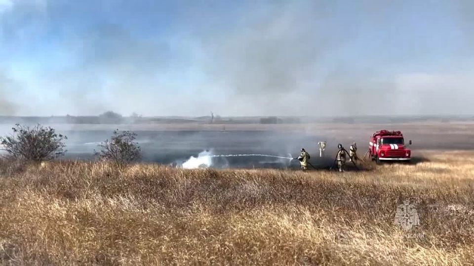 В Амвросиевке сотрудники МЧС России спасли лес от огня