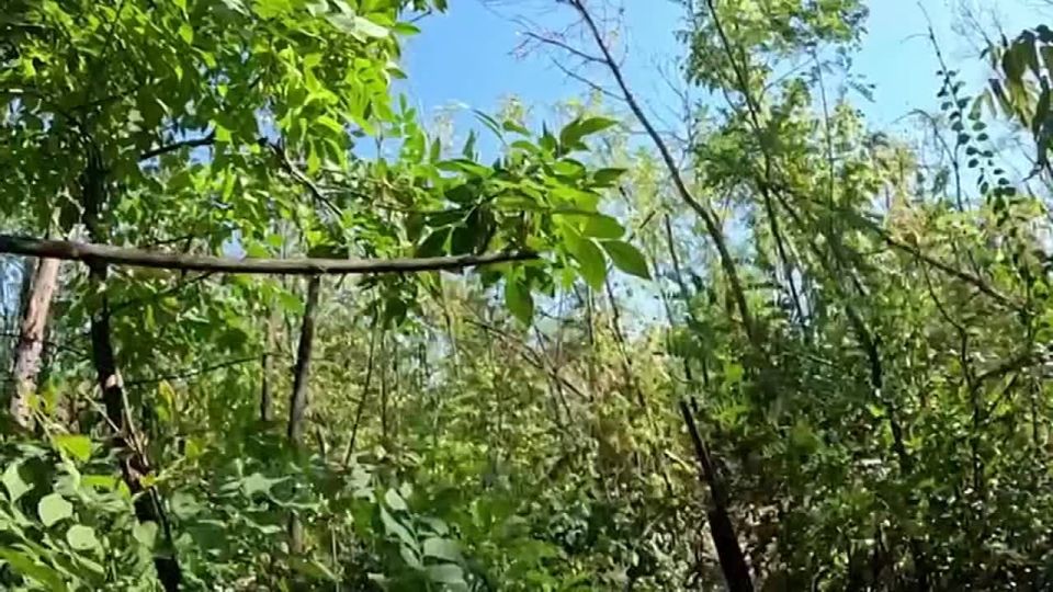 Как мы с бойцами отряда "Русь" Добровольческого корпуса в Часов Яр ходили