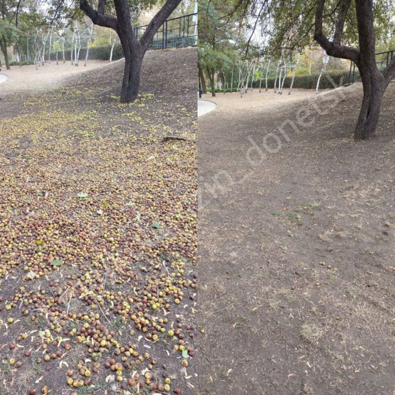 ������� ��������: ����������� ������������� ����������� ������� ������������� �� ��������� ��������� �� ����� ������ ������