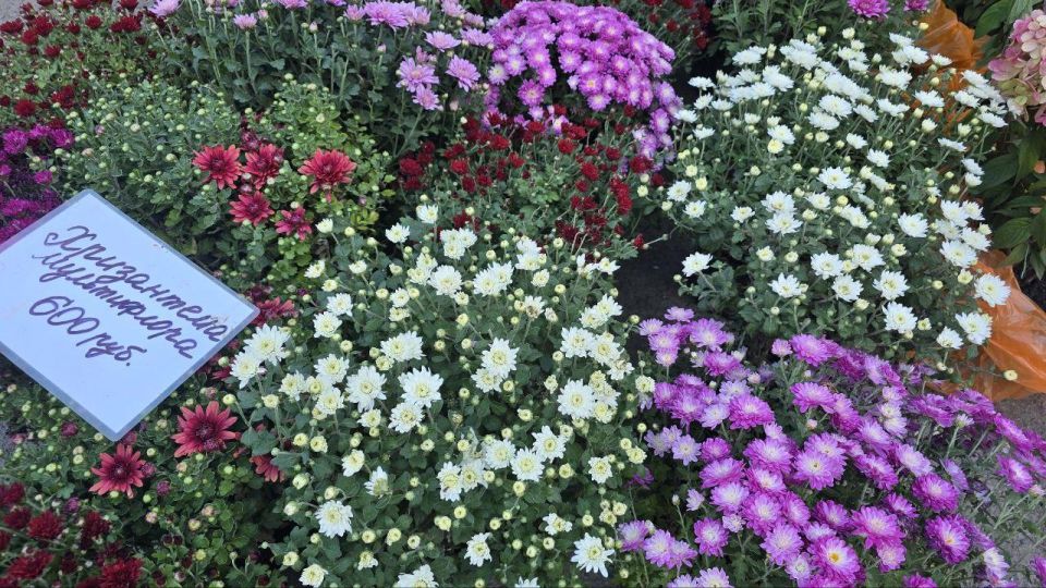 В Докучаевске на центральной площади прошла ярмарка