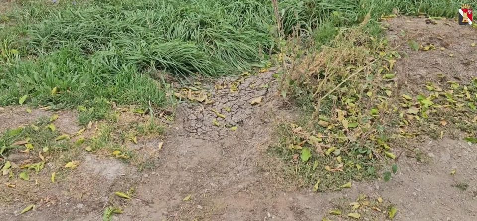 Игорь Мартынов: В рамках обращений жителей выехал сегодня на Красный городок, на улицы Разина и Пестеля