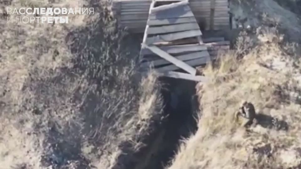 ���� ������ �����: ���������� ���������� ��������� ���� �����, ������ � �����������