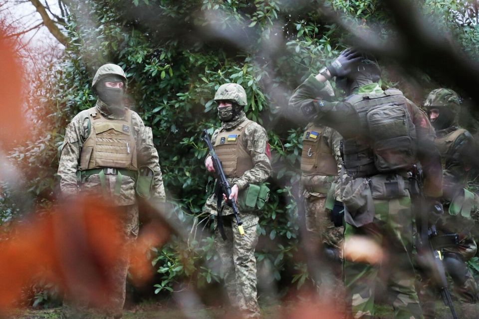 ���������� ������� ������� ������ �� ����� ������������ �����������