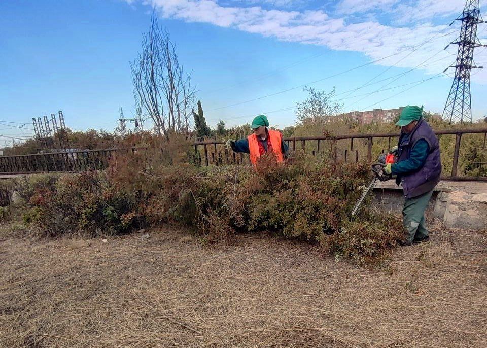 ���� ������: � ������������ ������ ��������� ����������� "����������" ��������� �������� ��� ������������� ����������, �������� �������� � �������� ��������� ��� �������