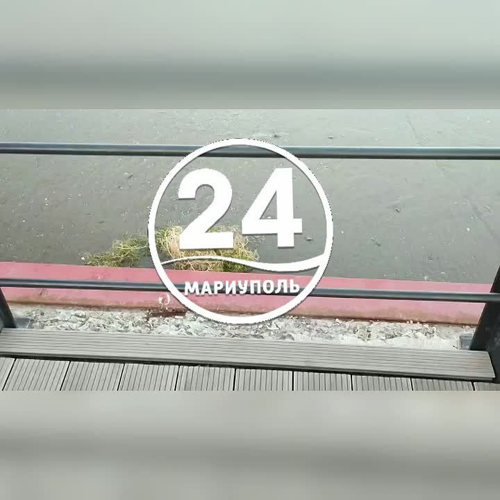 ������������ ��������� ��������� ���� � ���������