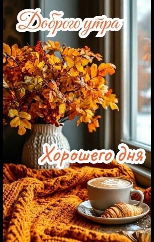 #доброе_утро