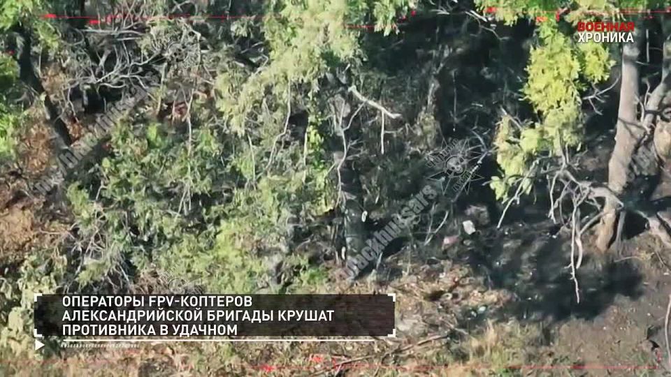 Игорь Мартынов: 25 сентября. Военная хроника