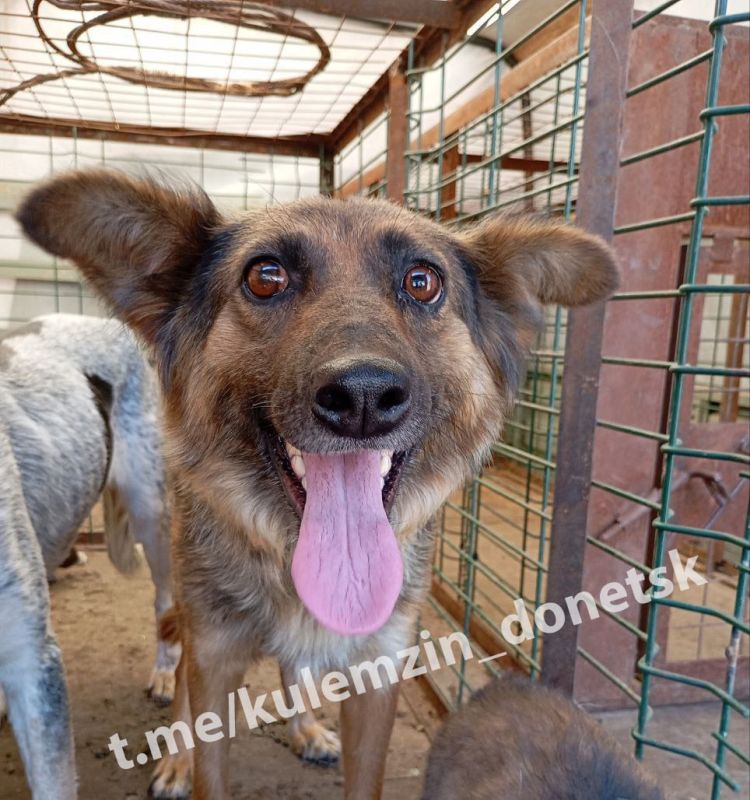 ������� ��������: ��������� ����������� ����������� ��������� � ������ ��������� ��������� � ��������� ��������