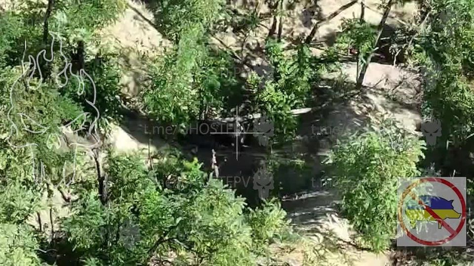 ����� ����� �� ���������� 132 ������� �� ���������� �����������, ������������ ������������ � ���� ���������� ������������