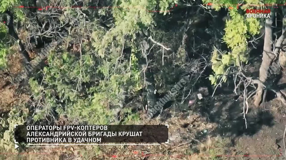 Александр Петрикин: 25 сентября - главные кадры СВО в ежедневной военной хронике