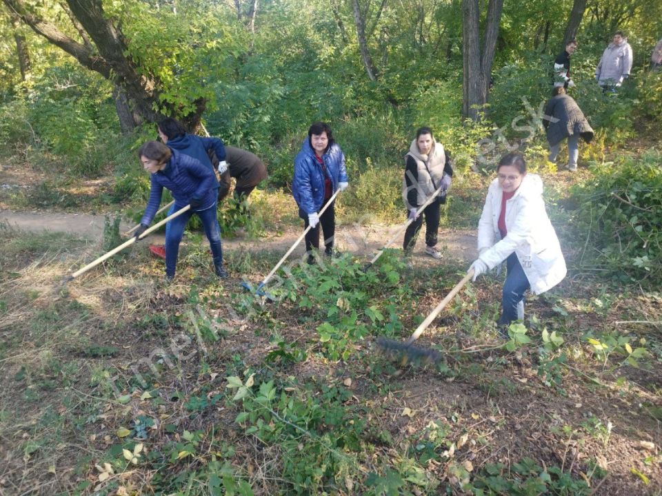 ������� ��������: ���������� ��������������� ���������� ������� �������� ������� � ����������, ����� ���� ����� � ��������������� ������