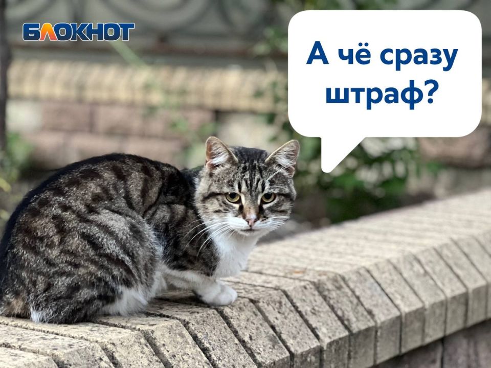 ������� � ���������������� ������� ����� ���������� �� 50 ����� ������ �� ����� ����� ������ � �������� ��������