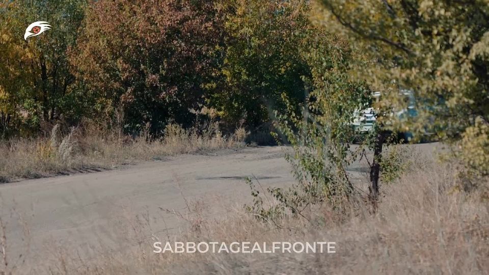 �� ������� ���������: � �������� ������ ����� �� �������� �����������