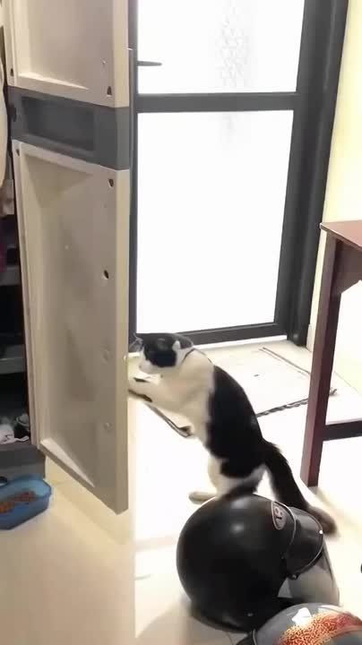 �������� ����������� � ������ ��������