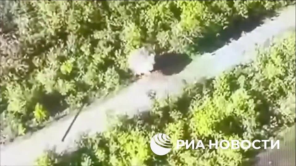 ������ ������� ���� ������ �������� ������, �������� � ������ �������������� (���